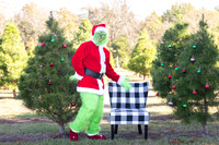 Free Christmas Grinch Portraits 2020