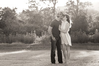 Scenic Engagment Photo